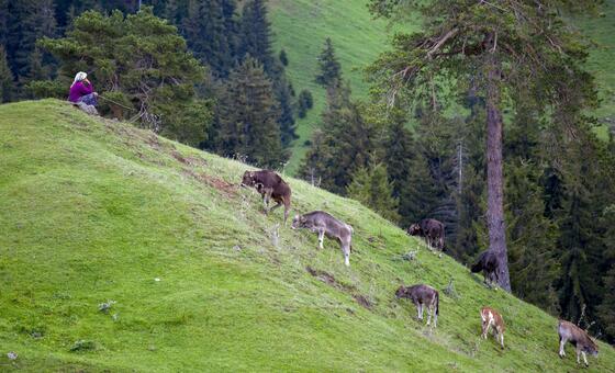 भारत: बीमारियाँ फैलने से पहले रोकथाम की तैयारी